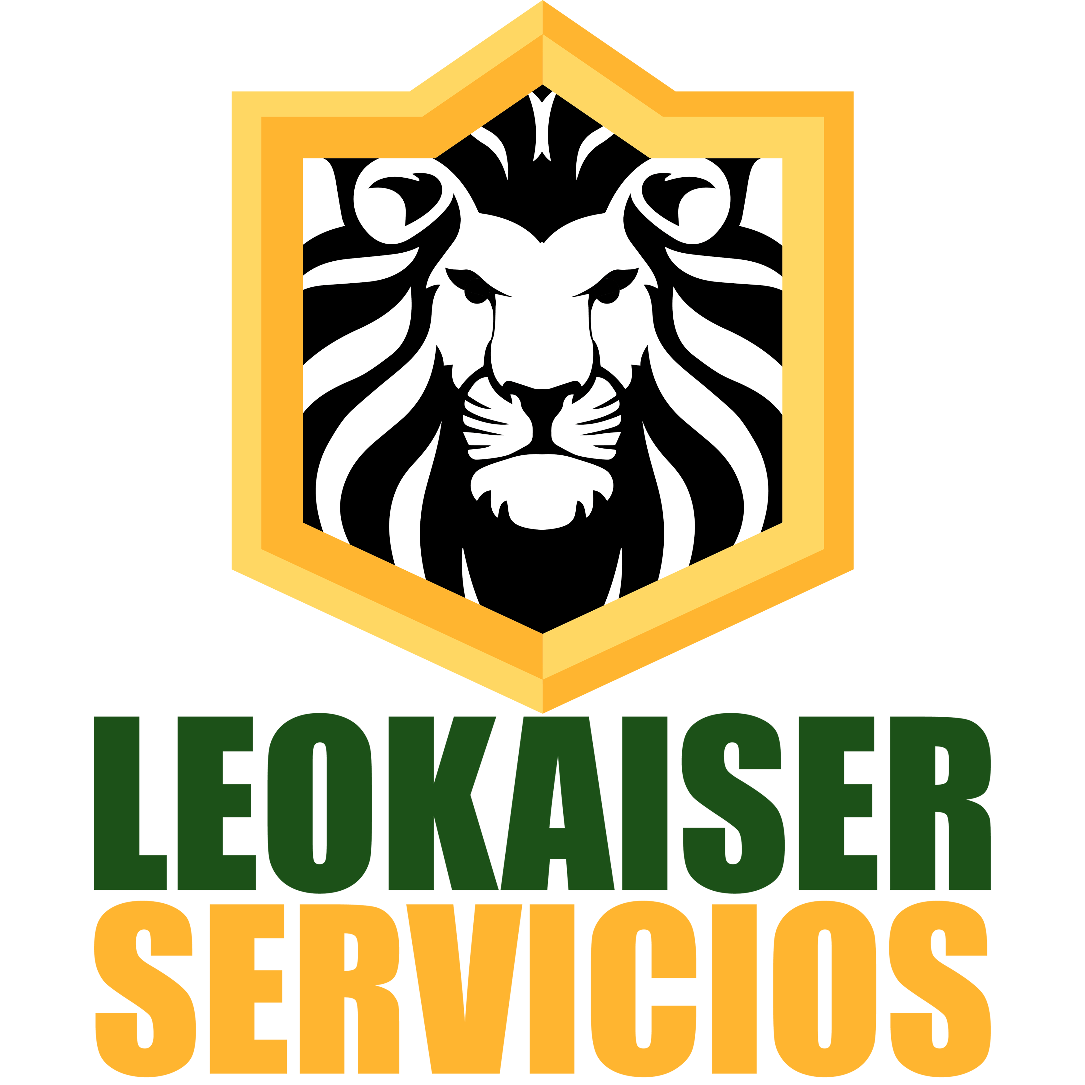 LEOKAISER SERVICIOS